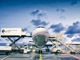 Airlines GeneralSales and Service Agent